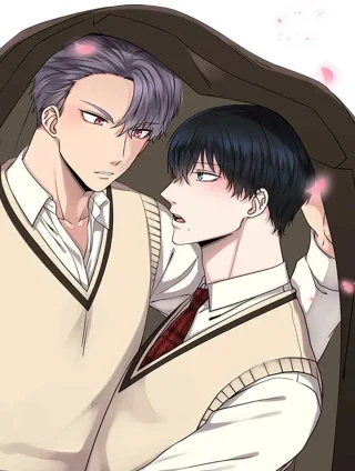 从无到有封面