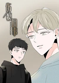 伤痕旧事封面