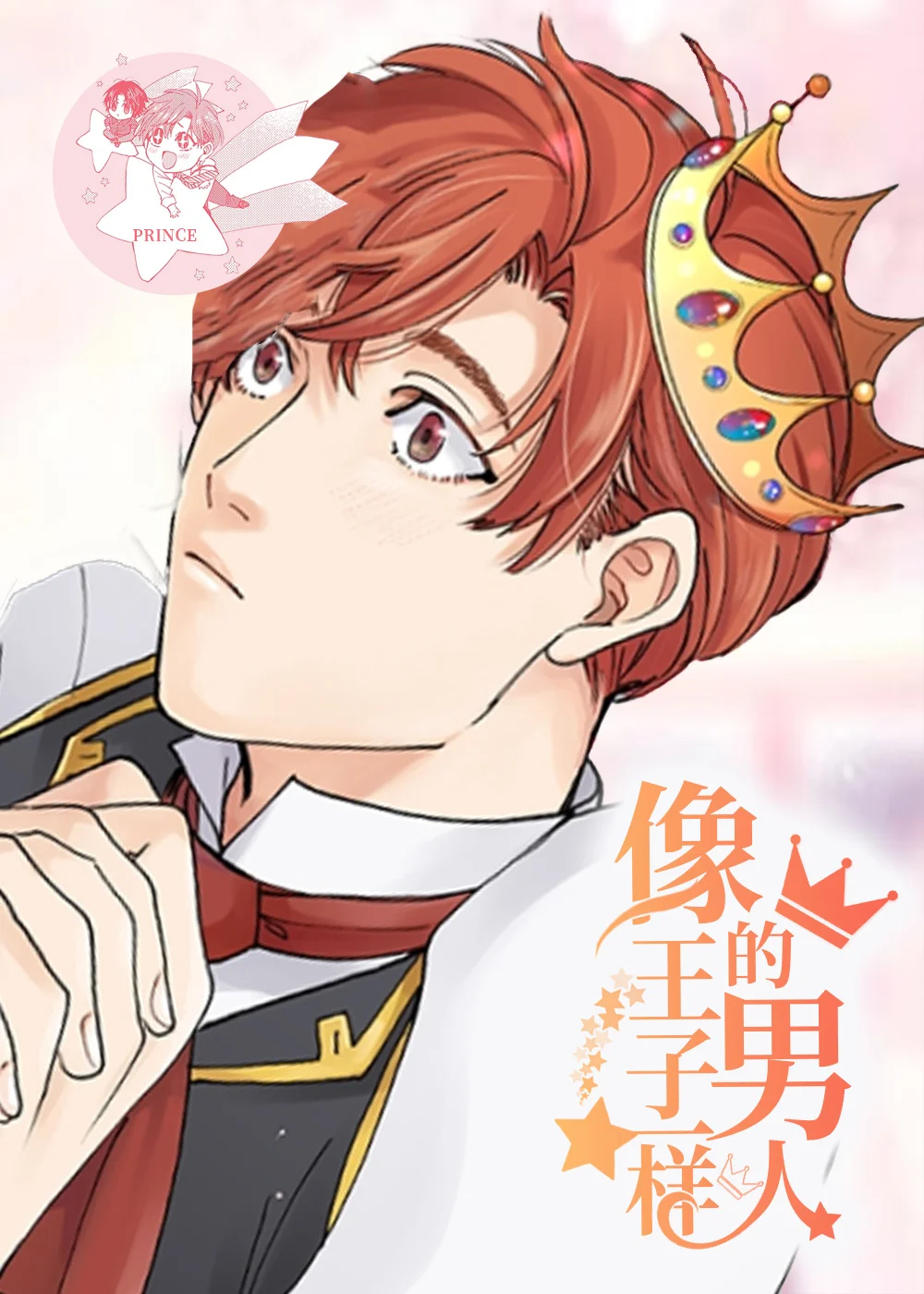 像王子一样的男人封面