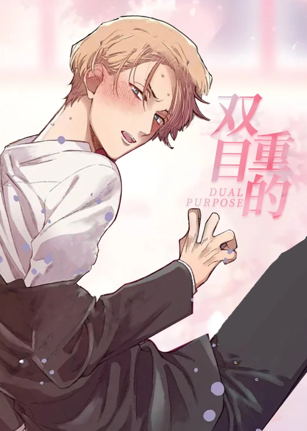 双重目的封面