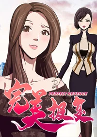 完美报复封面