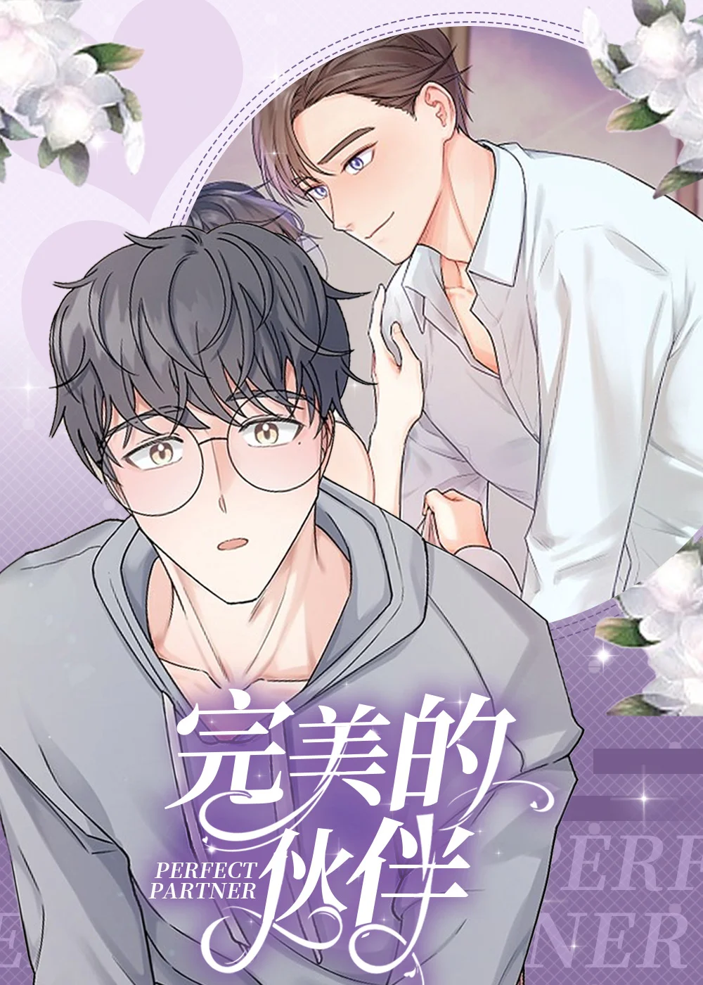 完美的伙伴封面