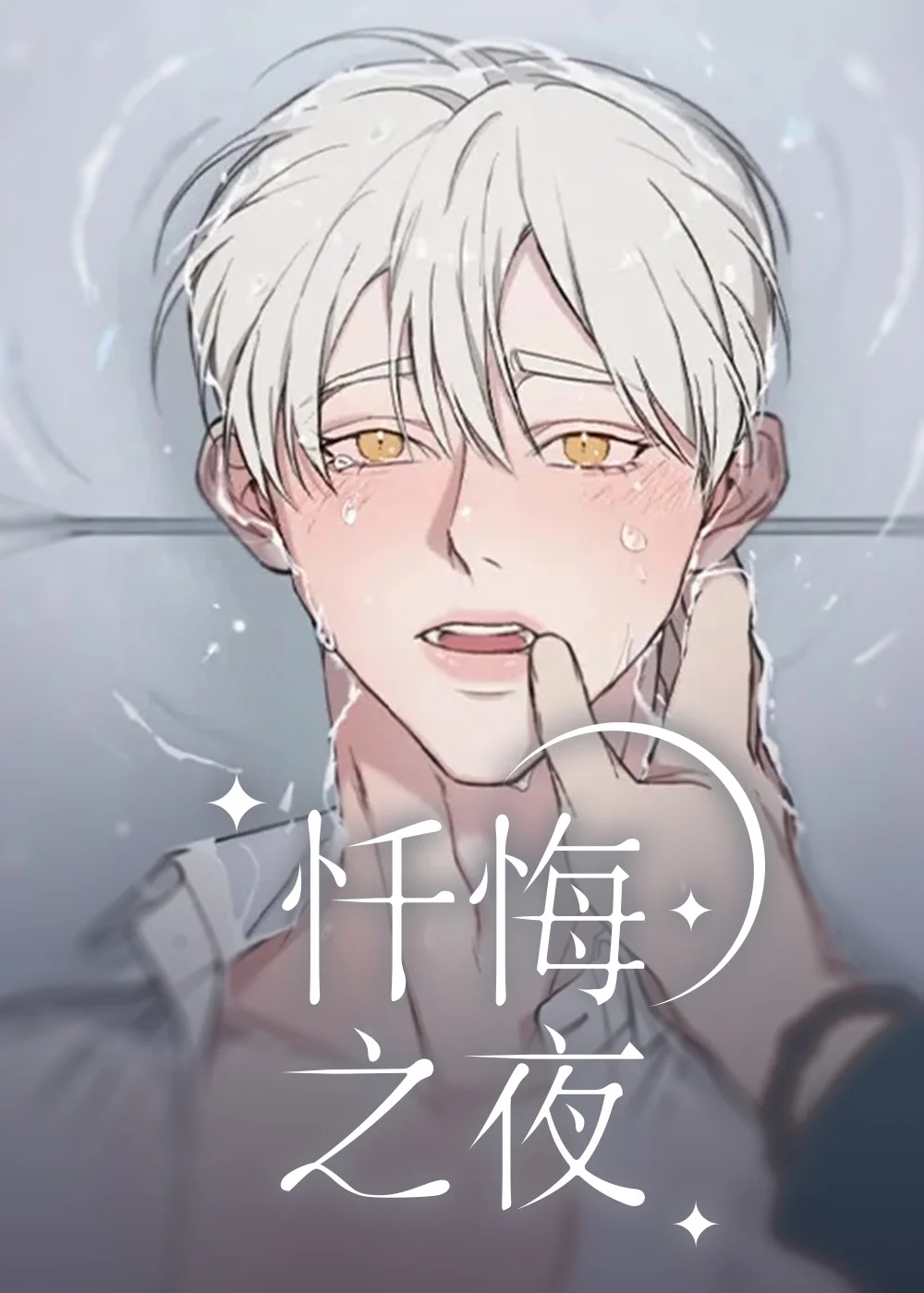 忏悔之夜封面