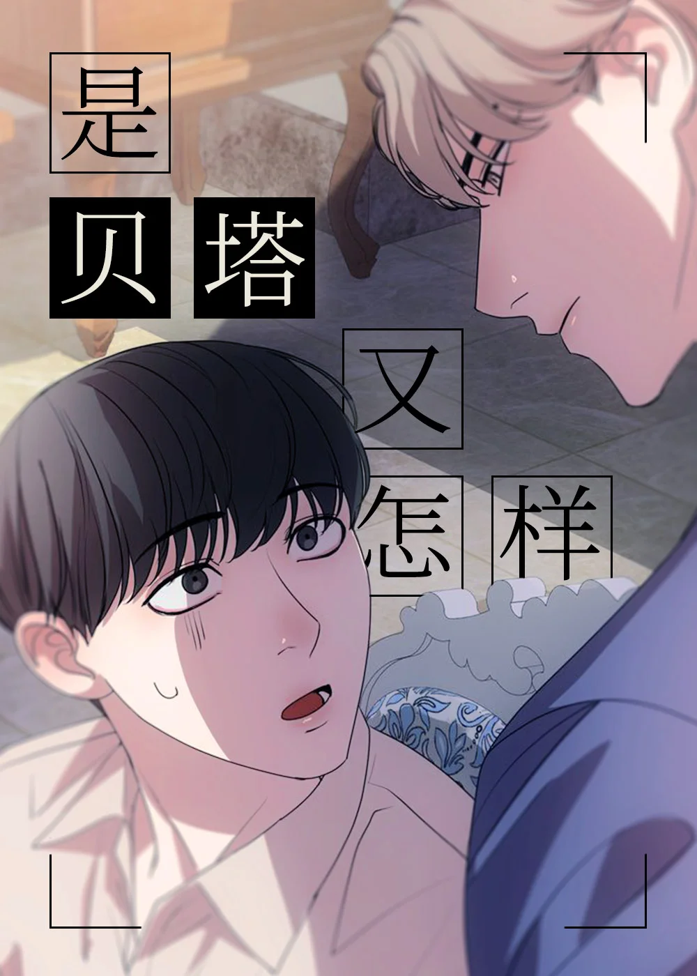 是贝塔又怎样封面