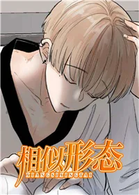 相似形态封面