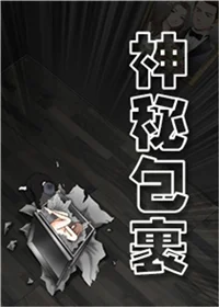神秘包裹封面