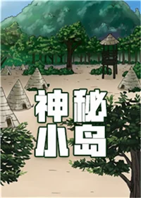 神秘小岛封面