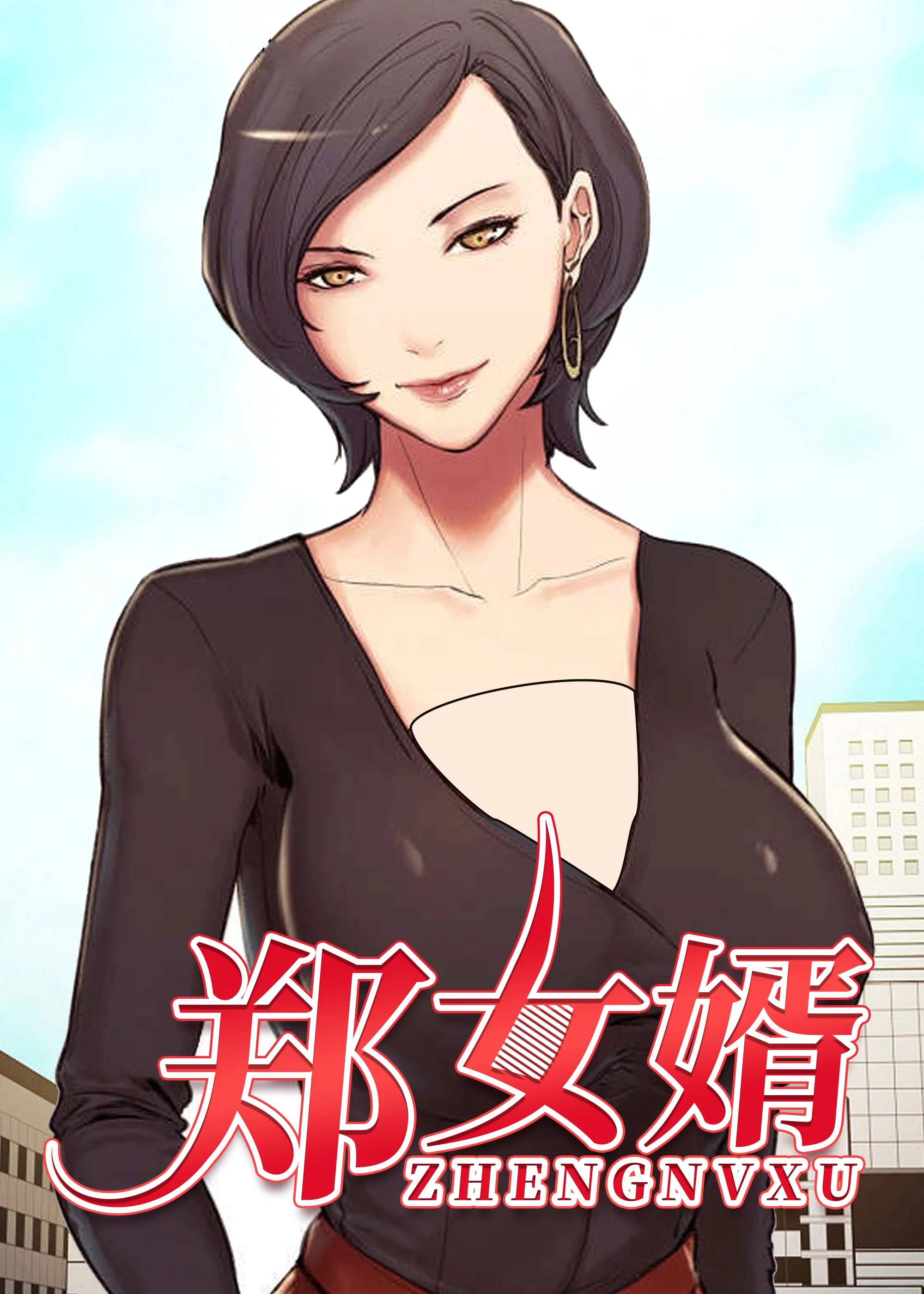 郑女婿封面