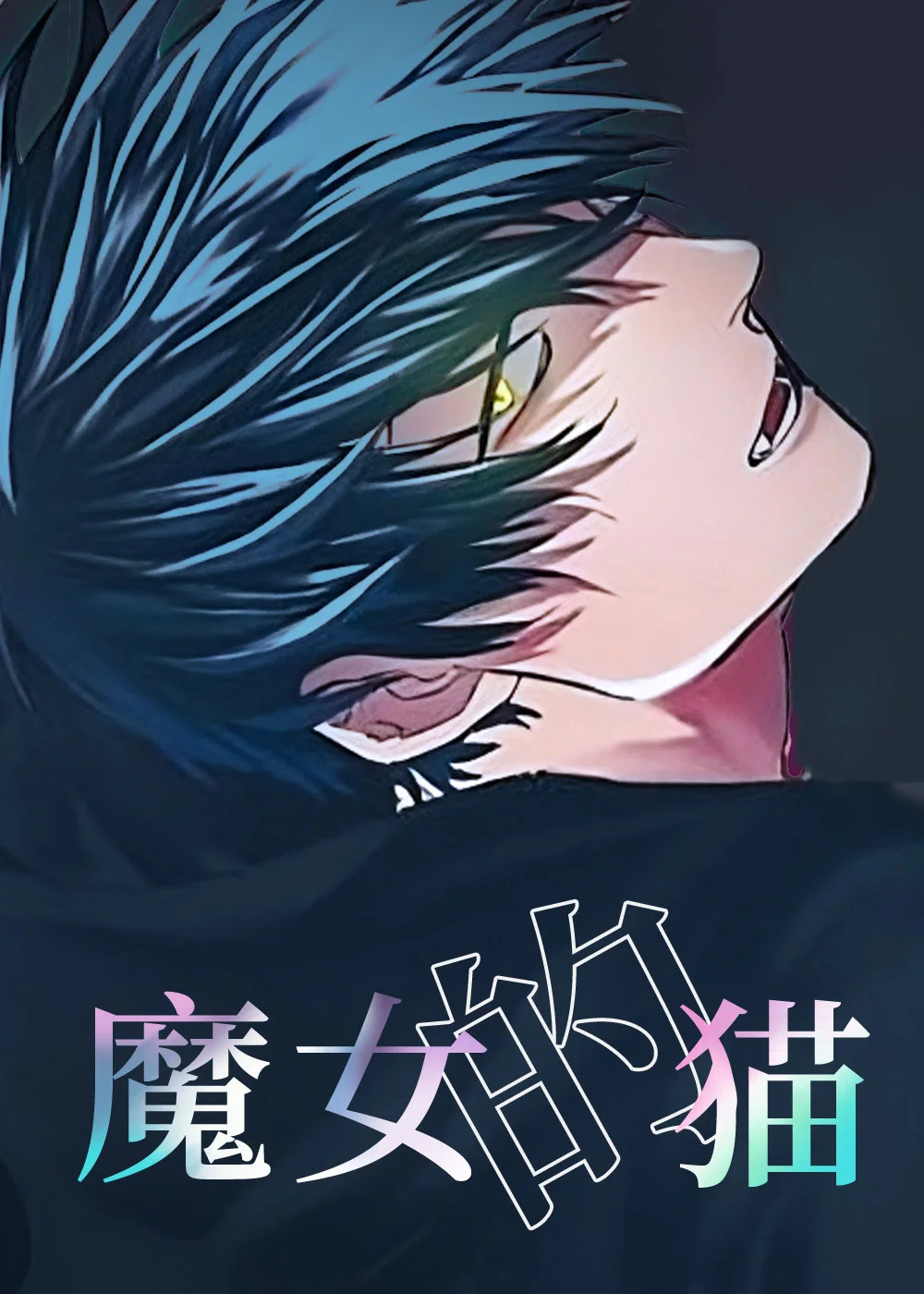 魔女的猫封面