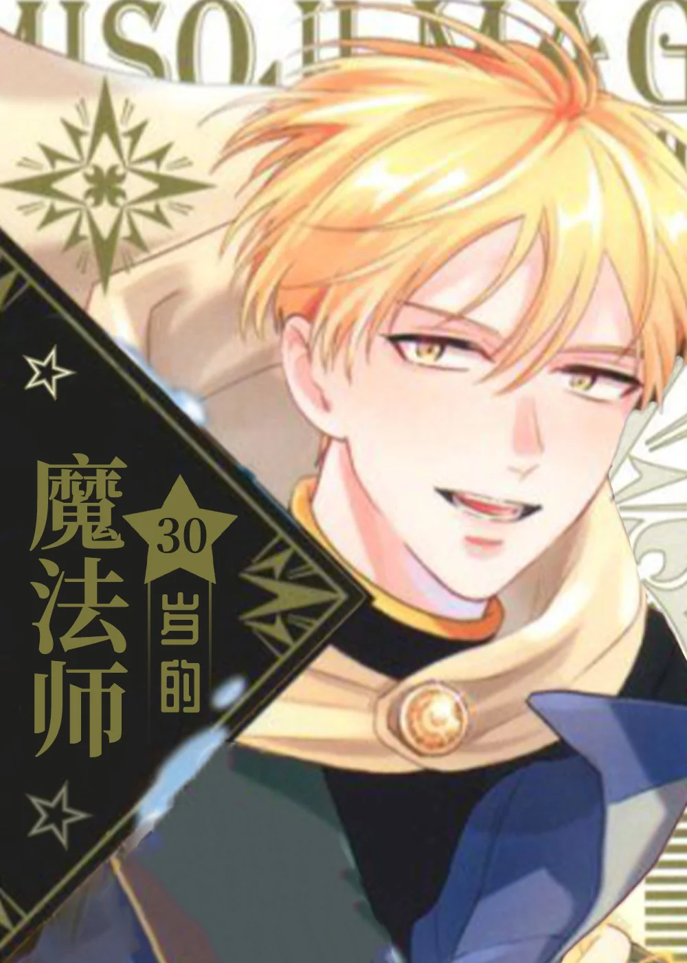30岁的魔法师封面